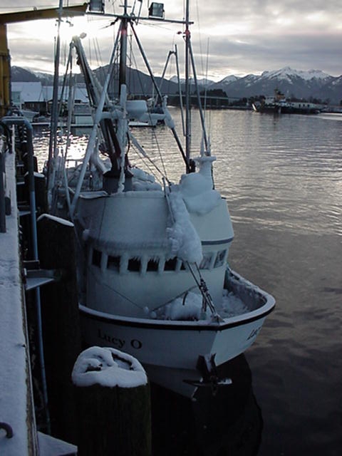 halibut longliner, covered in ice, just returned to unload its catch at the SPC processing plant in Sitka