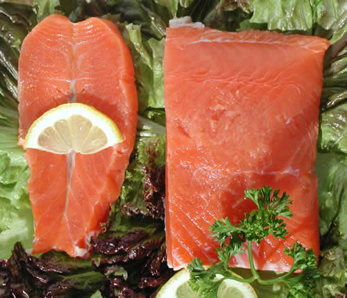 coho salmon fillet