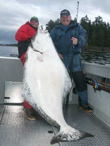 255 lb Alaskan halibut caught by Capt. John Keizer