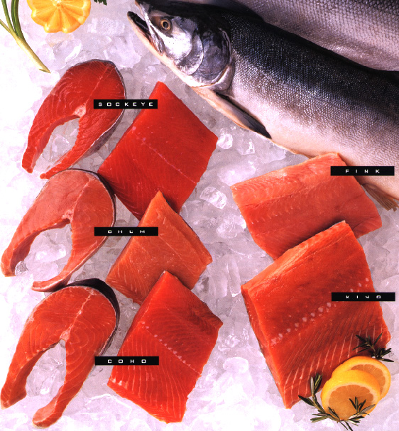 Salmon steaks and fillets courtesy Alaska Seafood Marketing Institute