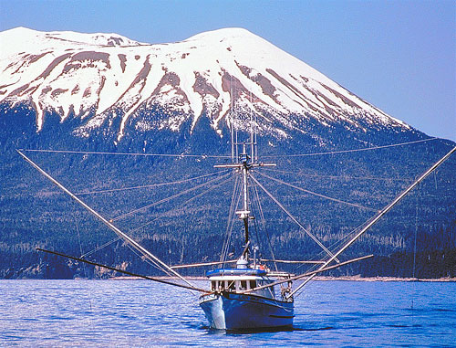 Salmon troller - image courtesy Seafood Producers Cooperative